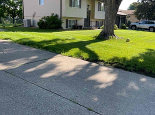 Dominique P.'s lawn maintenance service result