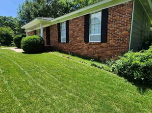 Sandra L.'s turf care service result