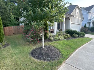 Khaaliq T.'s landscaping service result