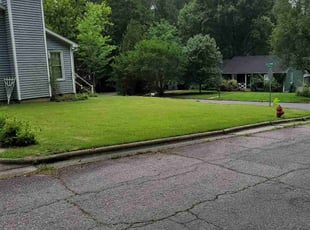 David P.'s grass maintenance service result