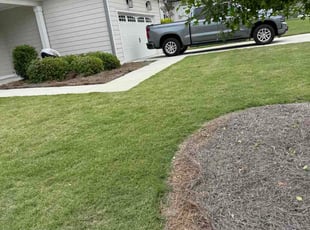 Karina C.'s lawn care service result