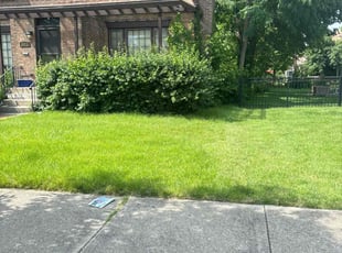 Terence S.'s turf care service result