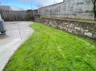 Steve S.'s lawn maintenance service result