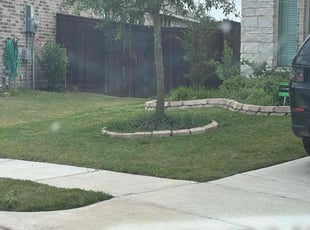 Darrell K.'s lawn care services service result