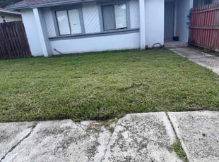 Nick G.'s grass maintenance service result