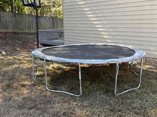 Dom E.'s turf care service result