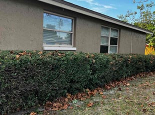 William B.'s Bush Trimming service result