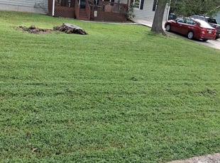 Gabriel F.'s lawn care service result