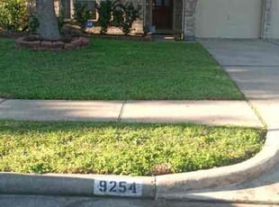 Trisha E.'s lawn maintenance service result