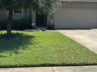 Lori W.'s turf care service result