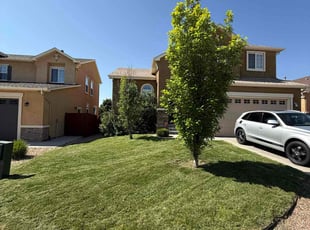 Alain J.'s turf maintenance service result