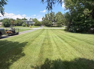 Marsha H.'s lawn care services service result
