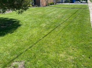 Adam S.'s lawn maintenance service result