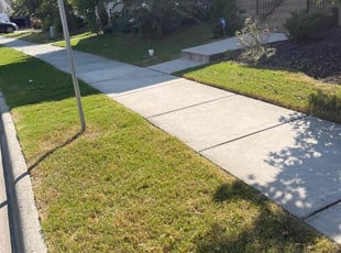 Donn M.'s grass cutting service result