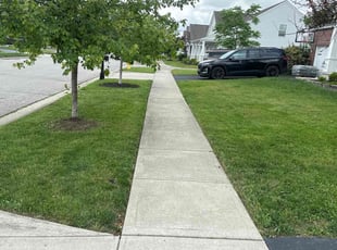 John M.'s grass maintenance service result