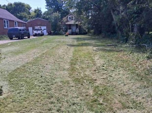 Debra P.'s turf care service result