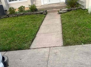 Bill T.'s grass cutting service result
