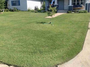 Edward H.'s landscape maintenance service result
