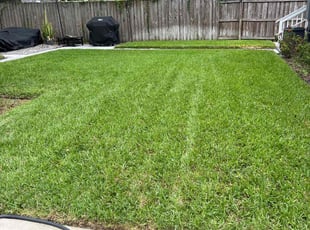 Normie T.'s gardening service service result