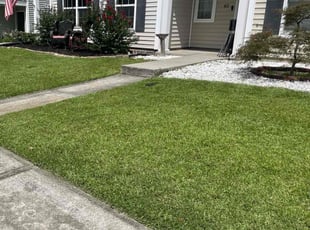 Steve A.'s lawn care services service result