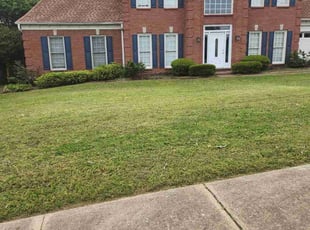 Ronald G.'s turf care service result