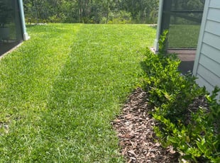 Carlyle T.'s turf care service result