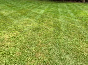 Julie E.'s lawn care service result