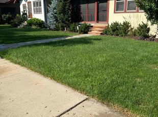 Ashanti A.'s lawn maintenance service result