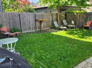 Scott M.'s turf care service result
