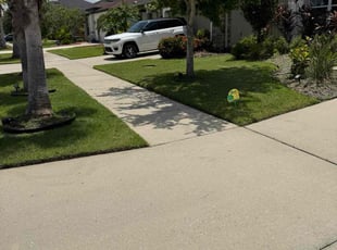 Tammy M.'s lawn care services service result