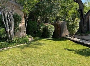 Mary C.'s Bush Trimming service result