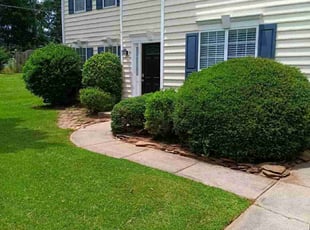Zhanna O.'s grass cutting service result