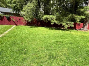 Dashawn U.'s lawn care service result