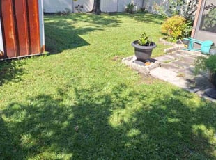 David M.'s grass maintenance service result