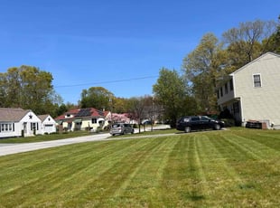 Marianne &.'s lawn service service result
