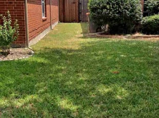 Eddy R.'s turf care service result