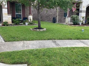 Karyn B.'s yard care service result