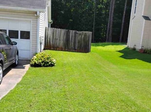 Sara A.'s lawn care service result