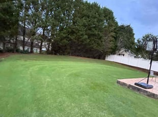 Shirley S.'s lawn maintenance service result