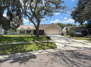Kelly F.'s lawn care service result