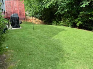 Justin H.'s lawn maintenance service result