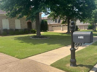 Kathy N.'s lawn care service result