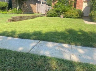 Jes T.'s grass maintenance service result