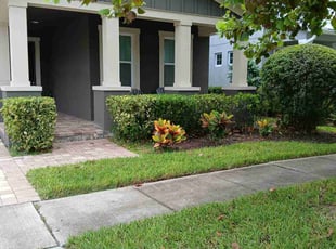 Mark S.'s Bush Trimming service result