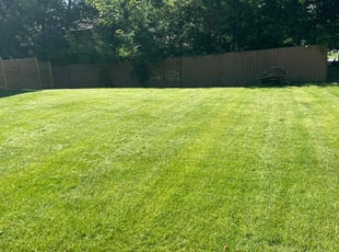 John S.'s lawn maintenance service result