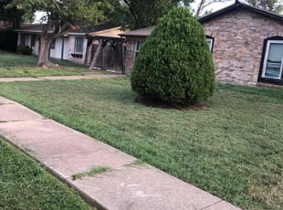 Frank S.'s lawn care service result