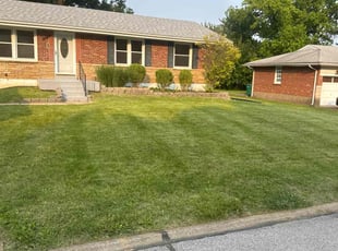 Carletta L.'s lawn care service result