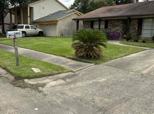 Bri G.'s lawn care service result