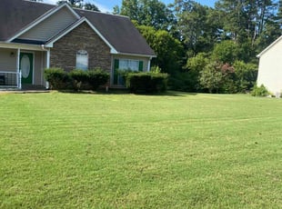 Sonja M.'s lawn service service result