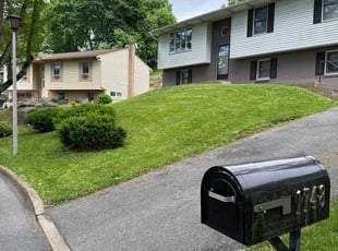 D'Angelo C.'s lawn care service result